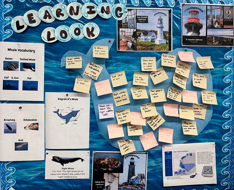 Learning the endangered North Atlantic right whale