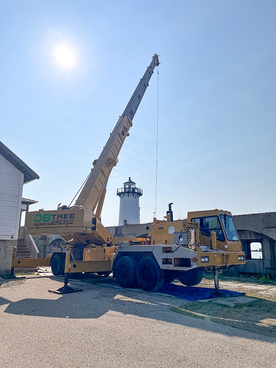 DB Tree's crane