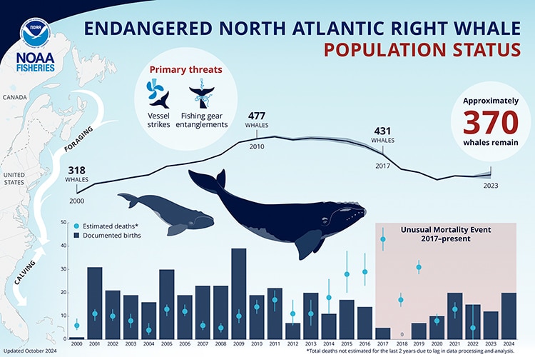 NOAA graphic